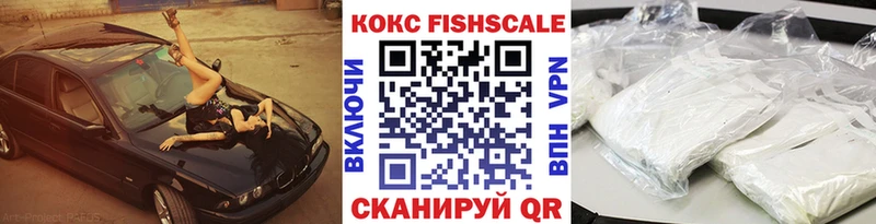 Кокаин FishScale  купить закладку  Питкяранта 